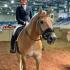 Ole South Dressage Shows
